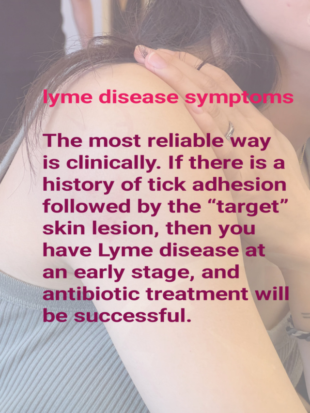 lyme disease symptoms